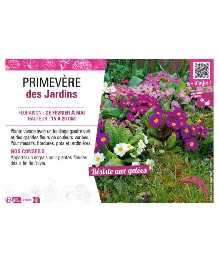 PRIMEVÈRE DES JARDINS