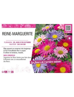 REINE-MARGUERITE (NAINE)