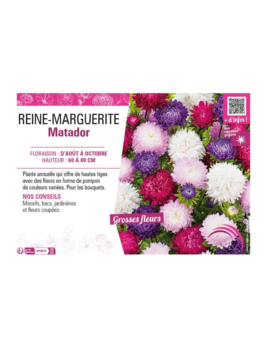 REINE-MARGUERITE MATADOR