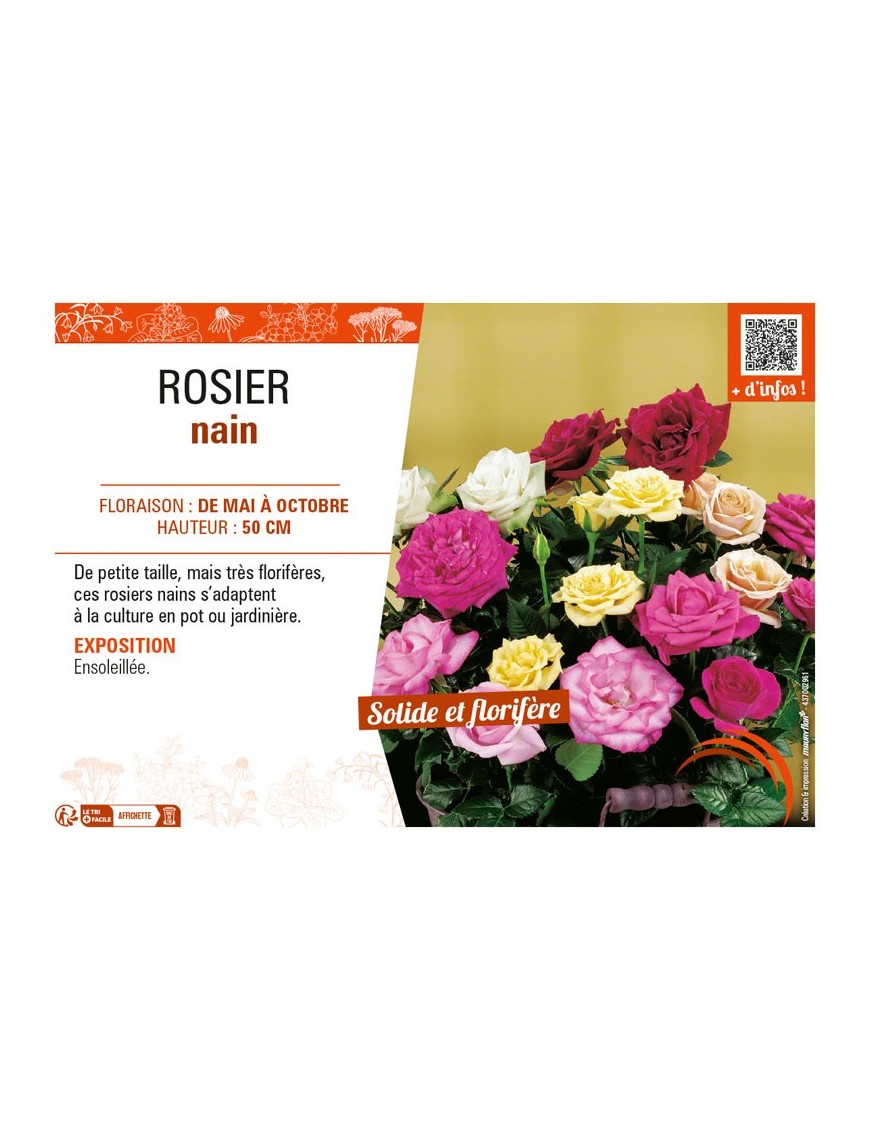 ROSIER NAIN