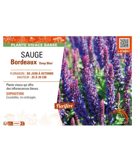SAUGE Bordeaux Deep Blue