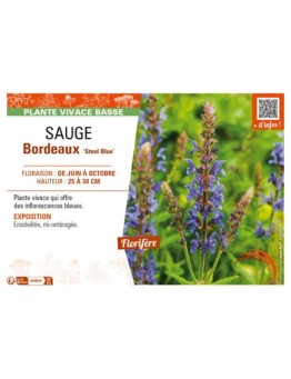 SAUGE Bordeaux Steel Blue