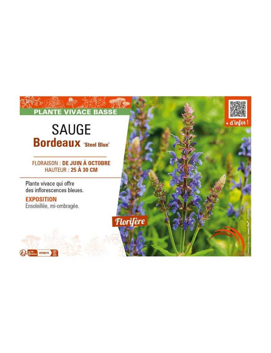 SAUGE Bordeaux Steel Blue