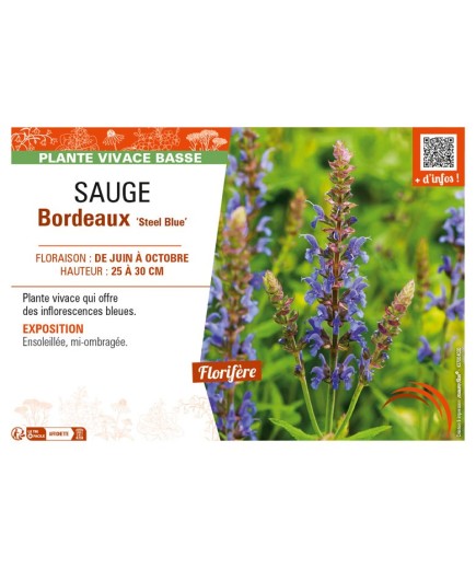 SAUGE Bordeaux Steel Blue