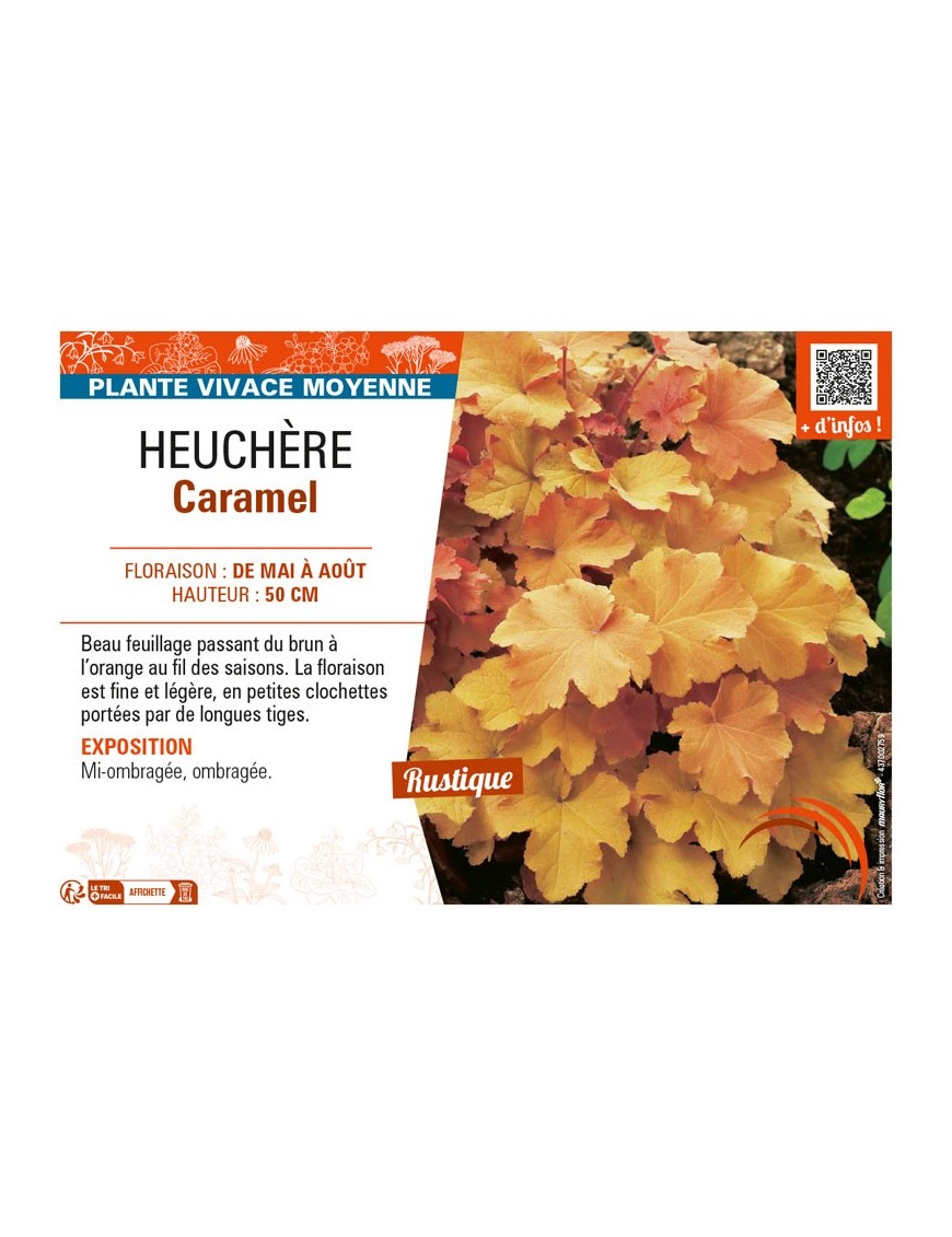 HEUCHÈRE CARAMEL