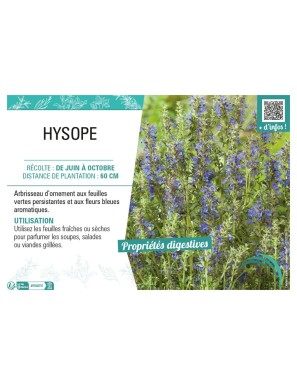 HYSOPE