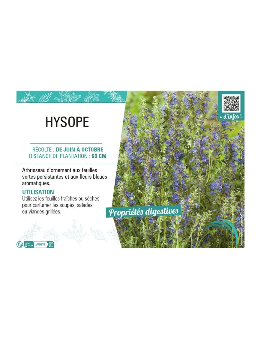 HYSOPE