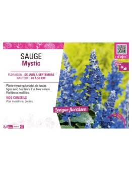 SAUGE MYSTIC