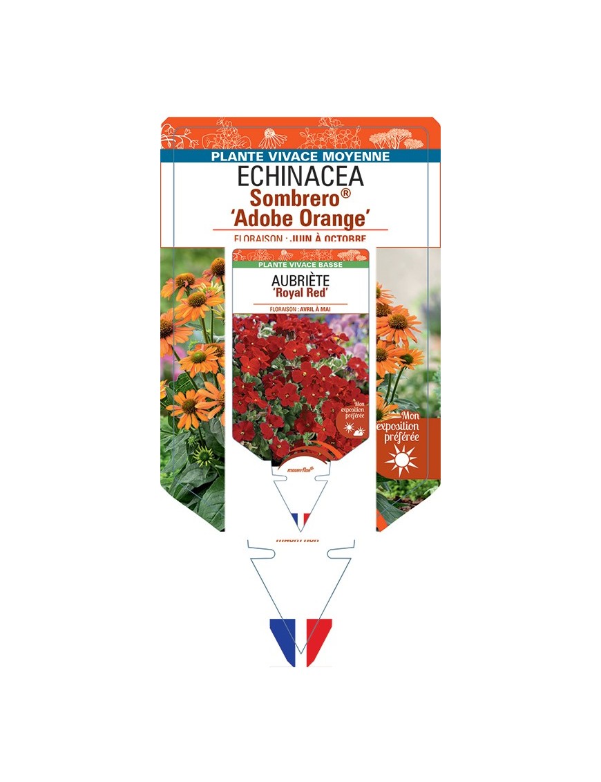 ECHINACEA Sombrero® Adobe Orange