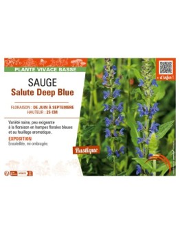 SAUGE SALUTE DEEP BLUE