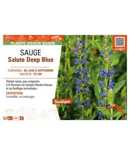 SAUGE SALUTE DEEP BLUE