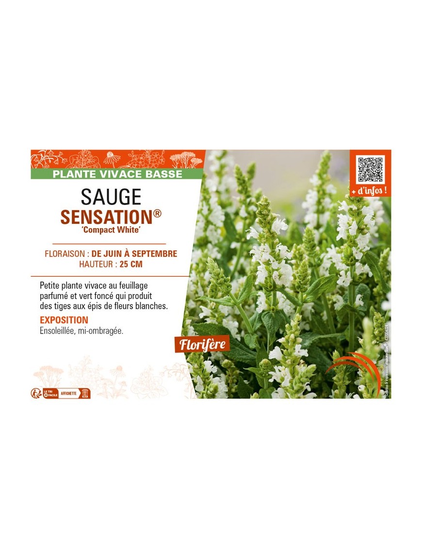 SAUGE SENSATION® Compact White