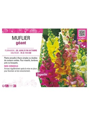 MUFLIER GÉANT (varié)