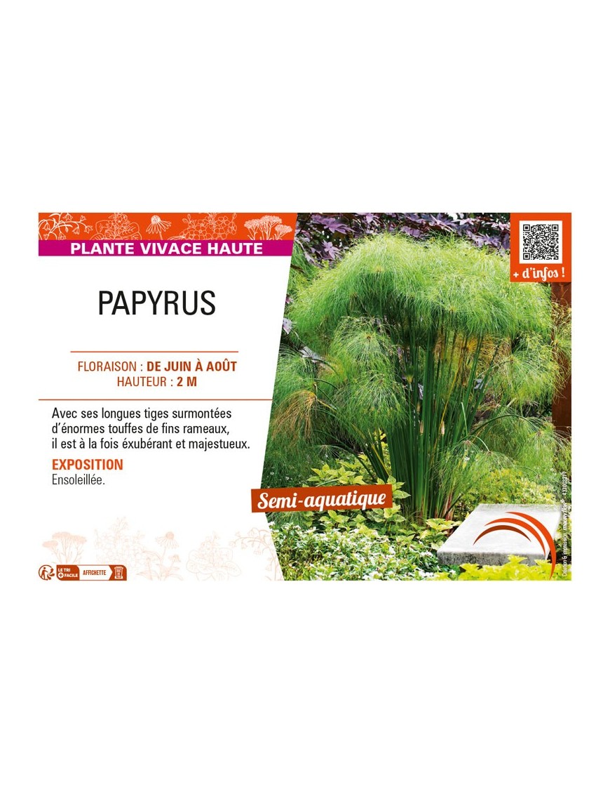 PAPYRUS