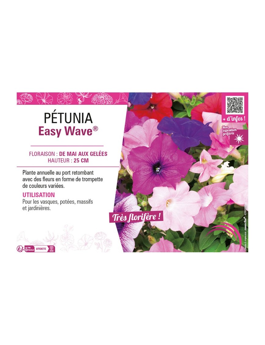 PÉTUNIA EASY WAVE®