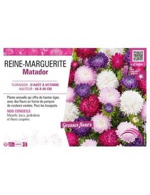 REINE-MARGUERITE MATADOR