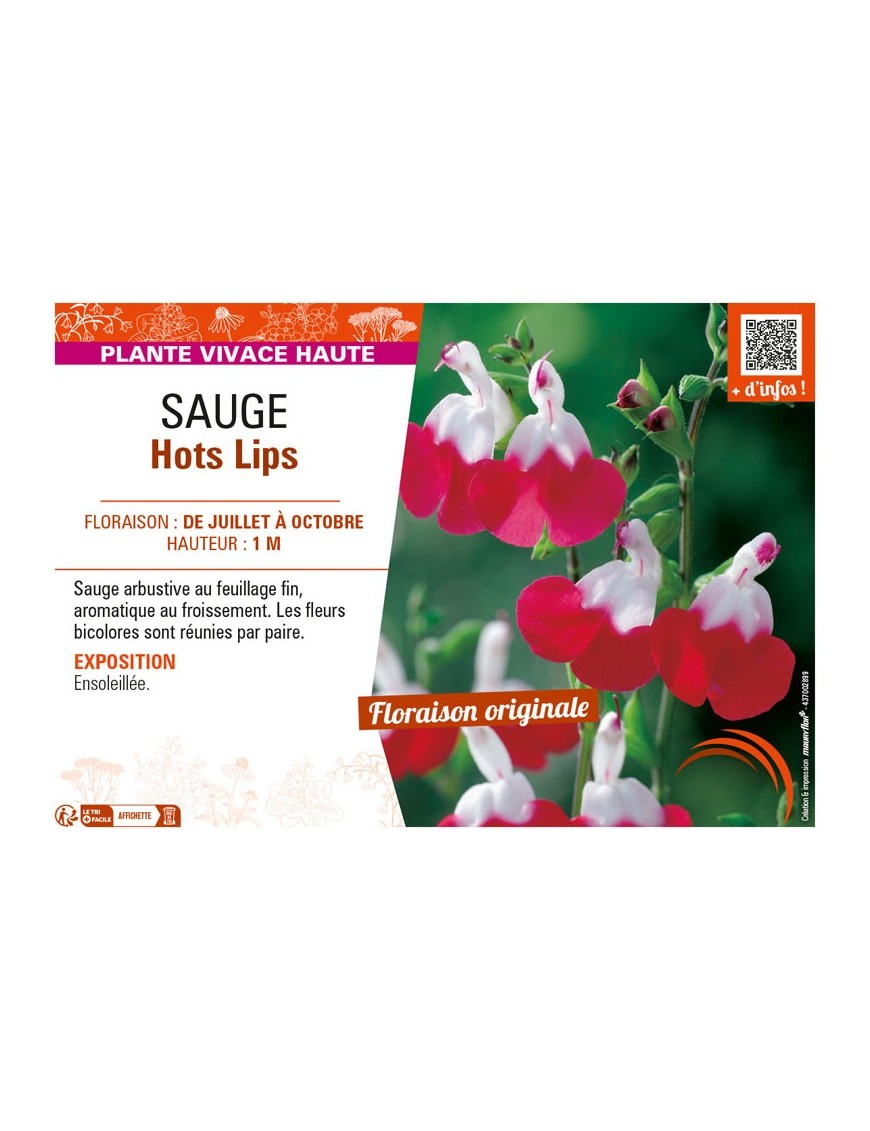 SAUGE HOT LIPS