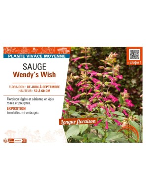 SAUGE WENDY'S WISH
