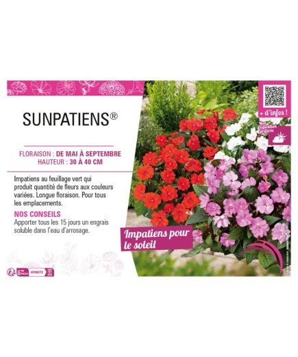 SUNPATIENS®