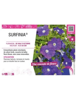 SURFINIA® (bleu)