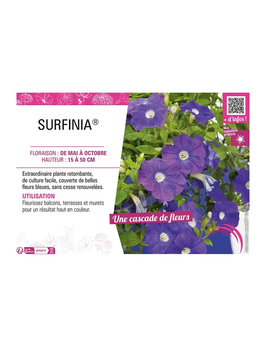 SURFINIA® (bleu)