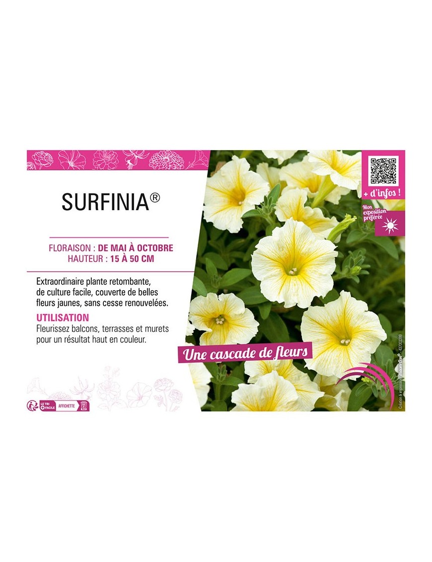 SURFINIA® (jaune)