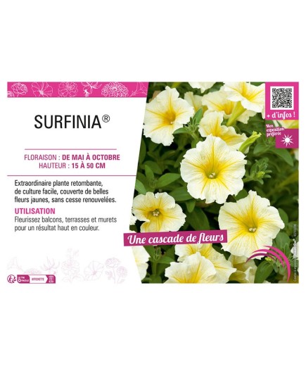 SURFINIA® (jaune)