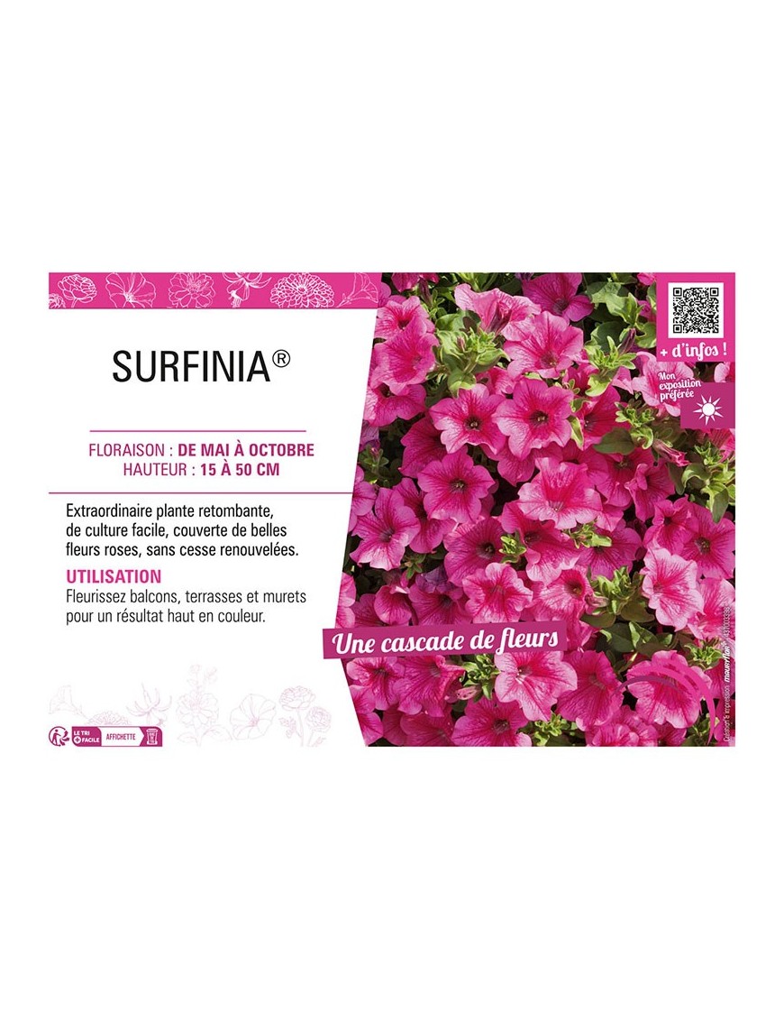 SURFINIA® (rose)