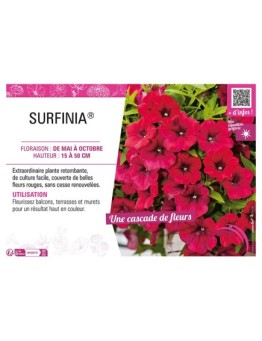 SURFINIA® (rouge)