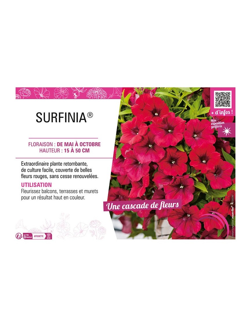 SURFINIA® (rouge)