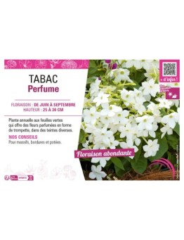 TABAC PERFUME