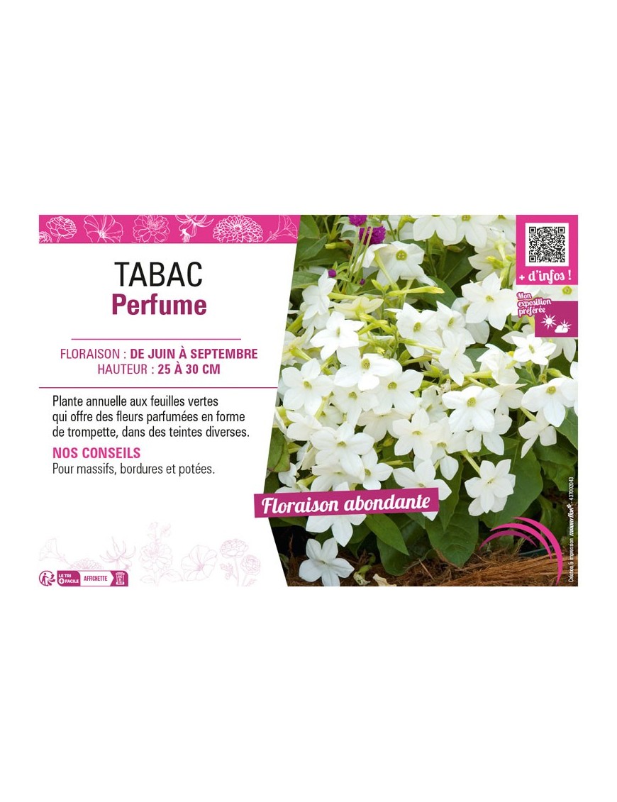 TABAC PERFUME