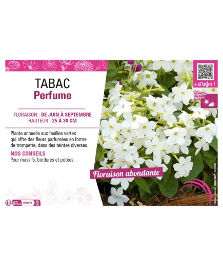 TABAC PERFUME