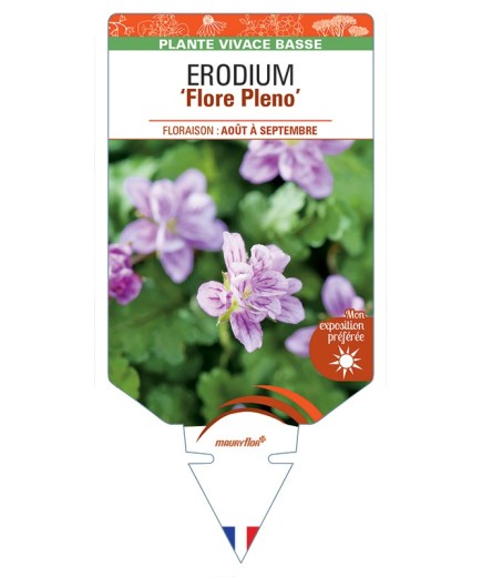 ERODIUM (x variabile) Flore Pleno
