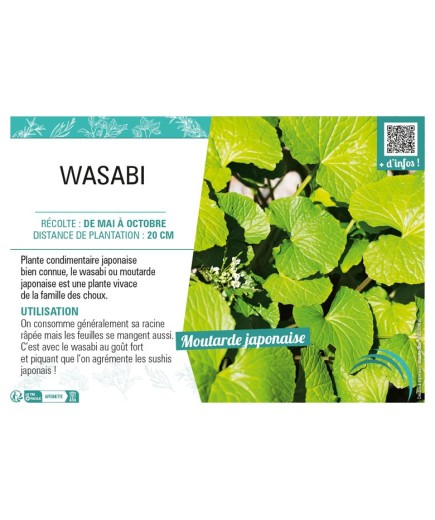 WASABI