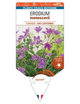 ERODIUM manescavii