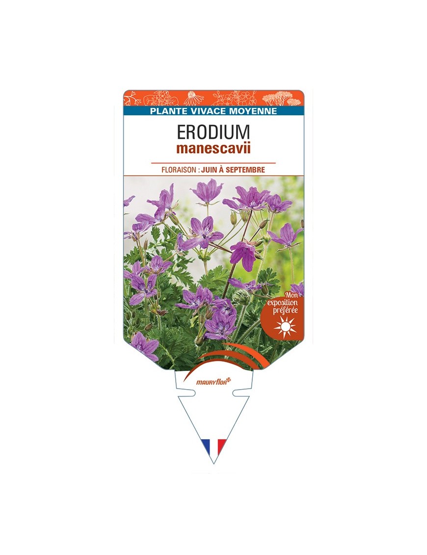 ERODIUM manescavii