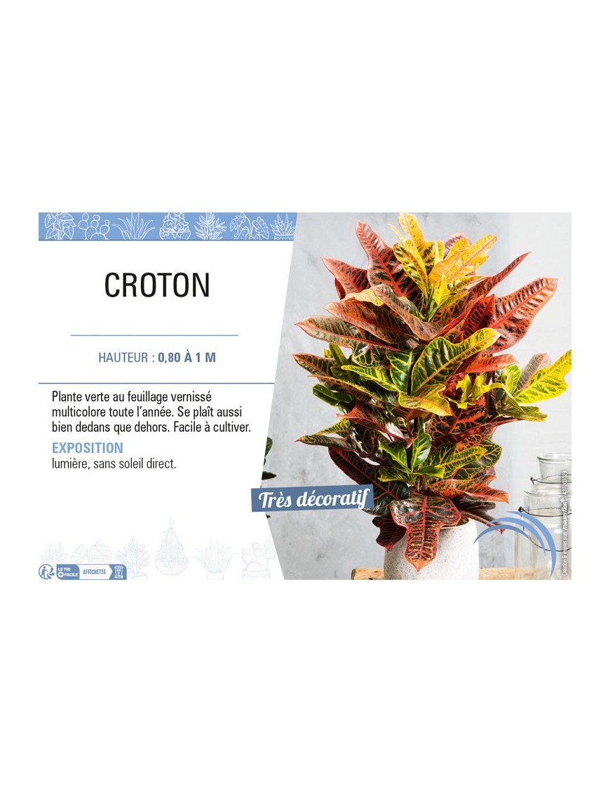 CROTON