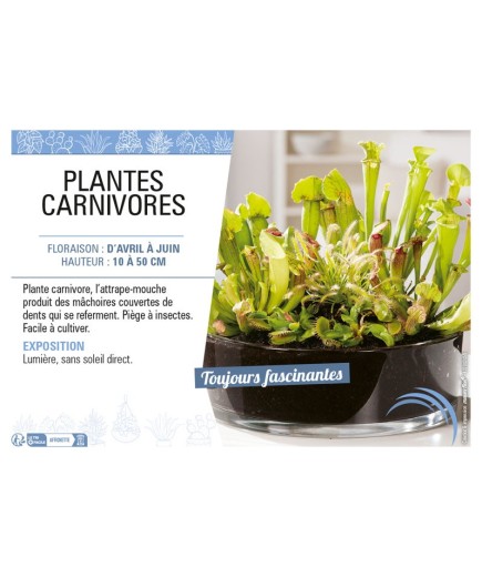 PLANTES CARNIVORES