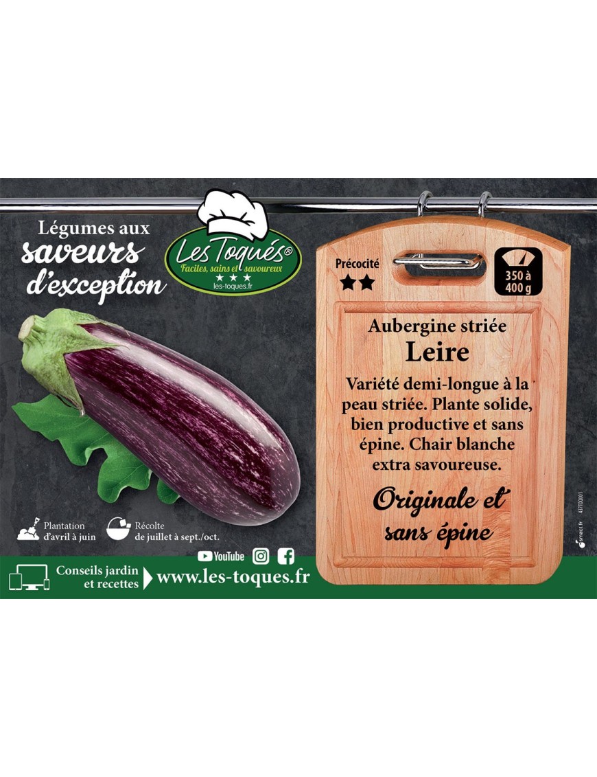 Aubergine striée Leire