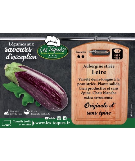 Aubergine striée Leire