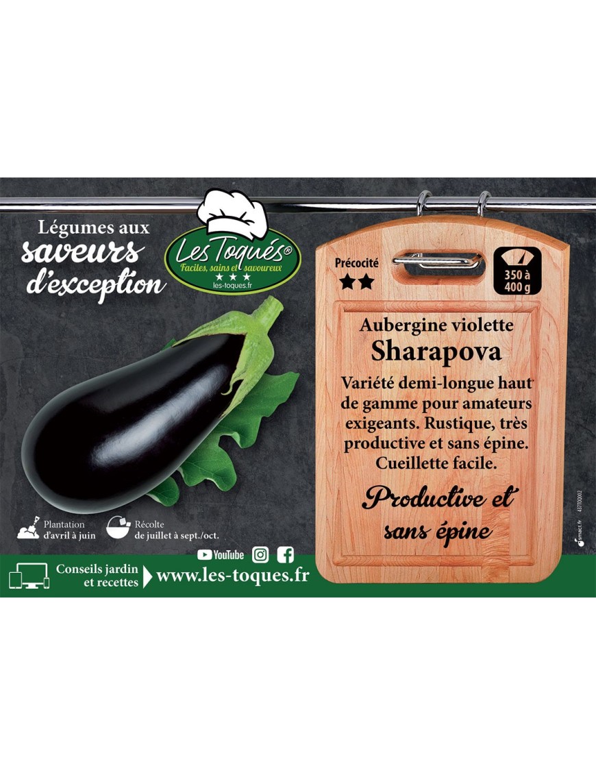 Aubergine violette Sharapova