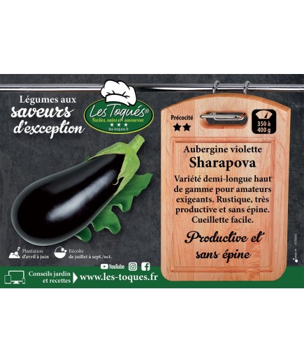 Aubergine violette Sharapova