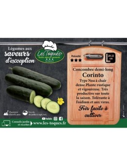 Concombre demi-long Corinto