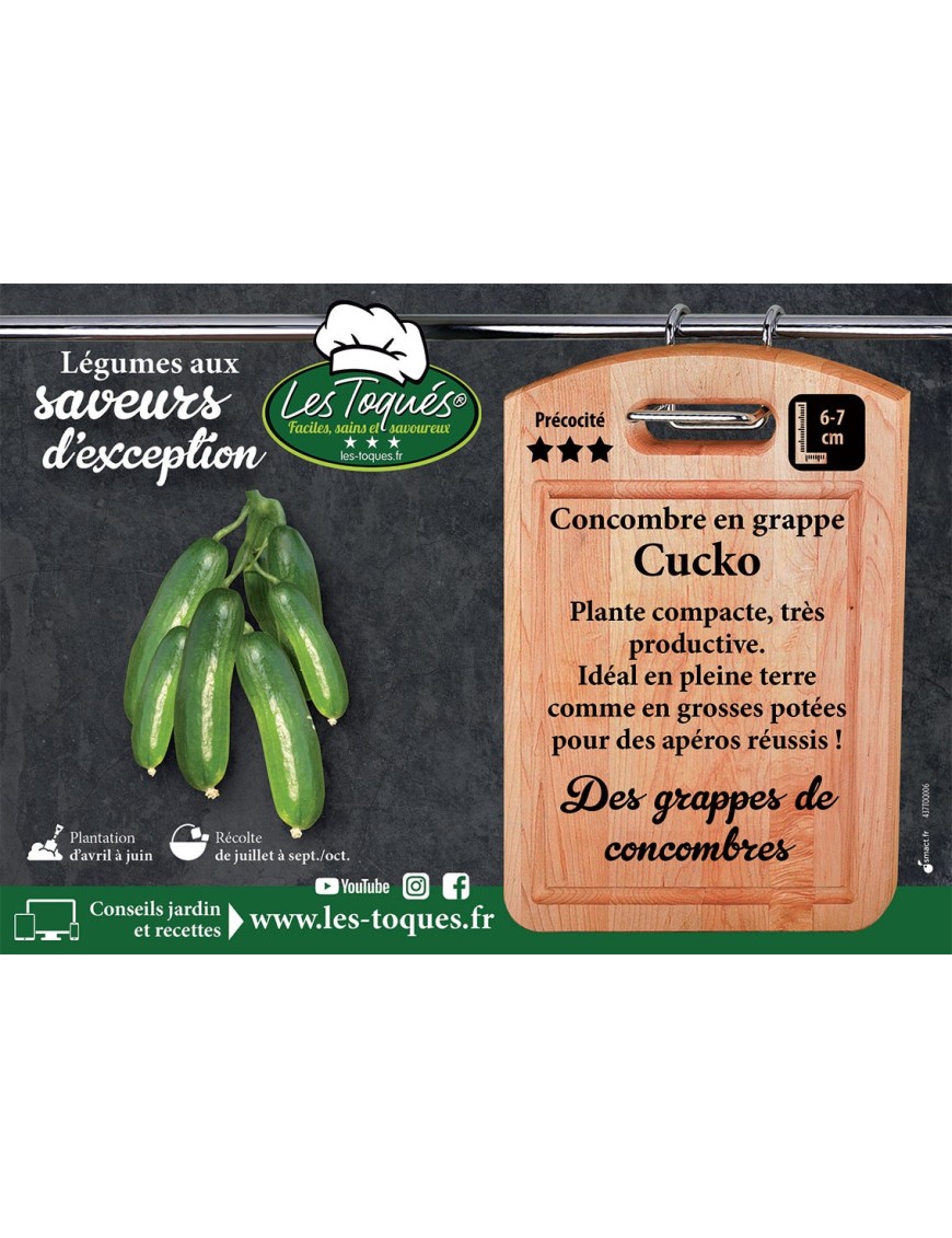 Concombre en grappe Cucko