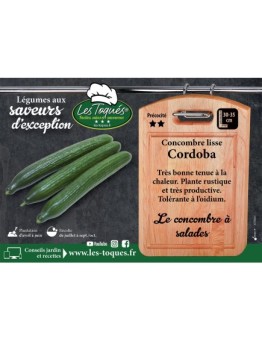 Concombre lisse Cordoba
