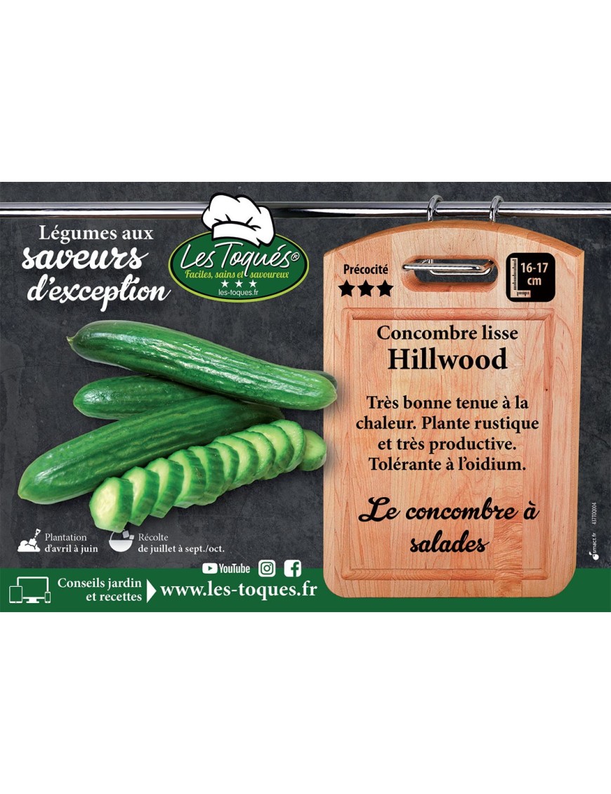 Concombre lisse Hillwood
