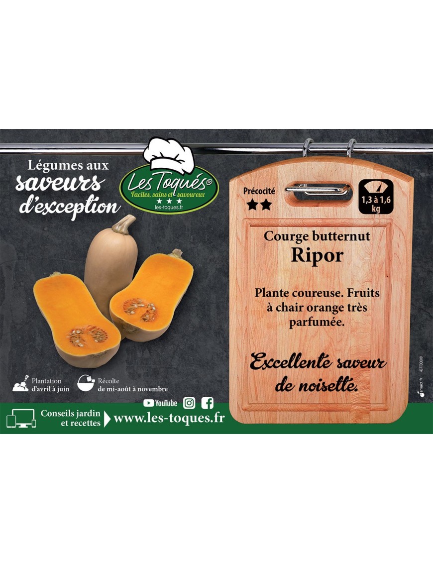 Courge Butternut Ripor