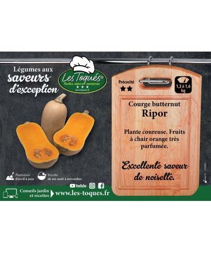 Courge Butternut Ripor