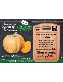 Courge mini-musquée Nidor